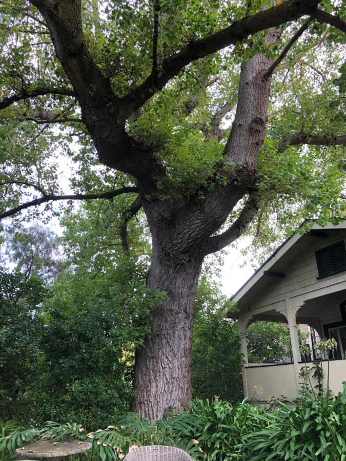 بورتلاند Lorelei Bed & Breakfast المظهر الخارجي الصورة